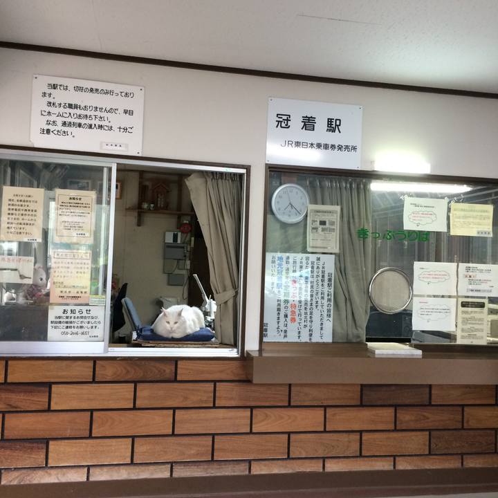 6108a3bd 94f7 4c13 aa84 759f47e55c44