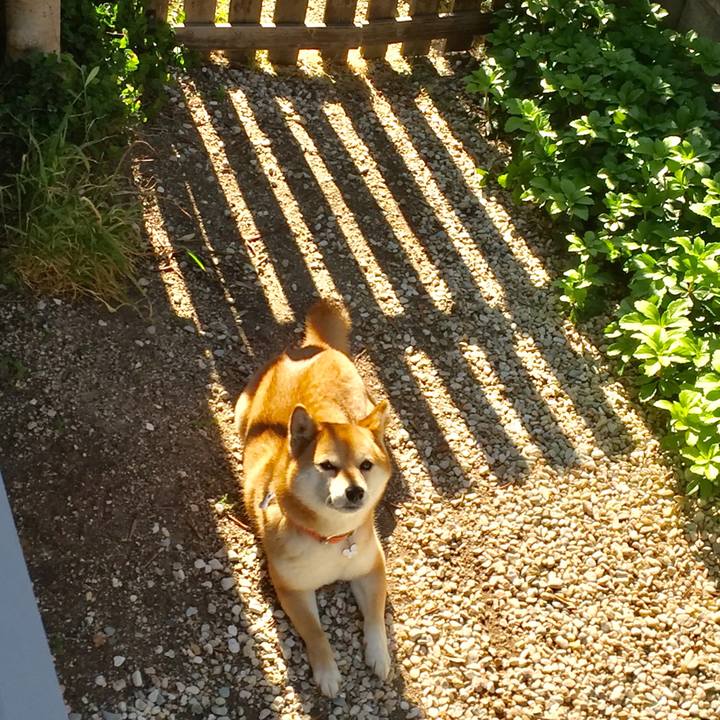 6108b5fb 5908 4915 a695 619f6ff861ca