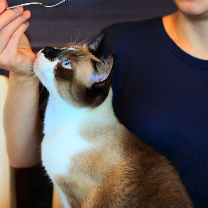 6108da22 e478 4af7 affc a63f0bb695f1