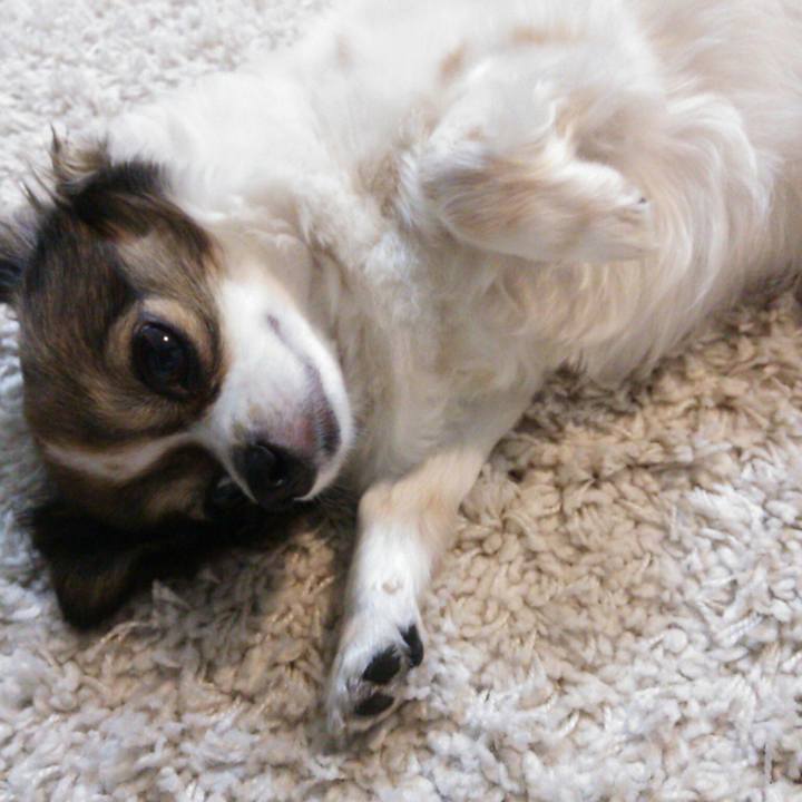 61098b8c 6be0 4ef0 a76f 28875ef1f404