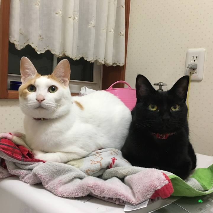 61099e15 1f57 484f a674 12b0d3a5a9f6