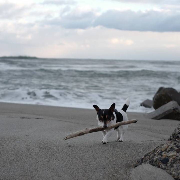 6109dbd3 3e96 4915 9441 f4a0a277c340