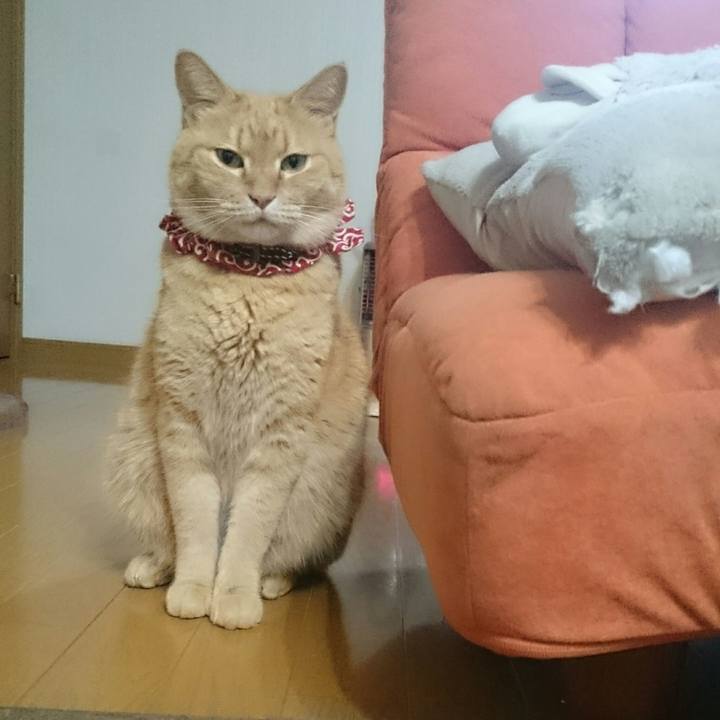 610a34c2 2faf 46dc b7c5 834774e23420