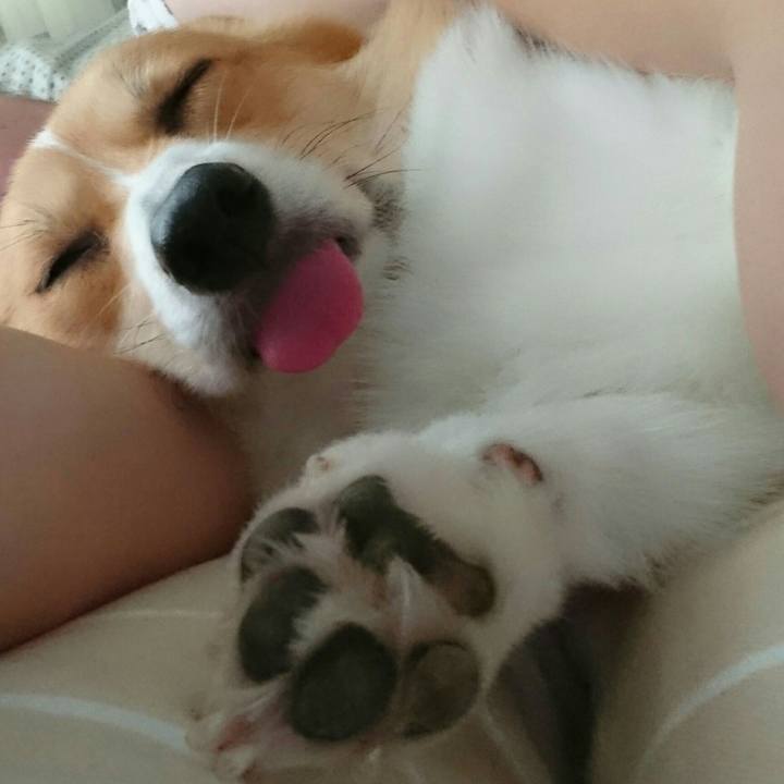 610ad1aa f304 48bd ac2e ab0c7073925d