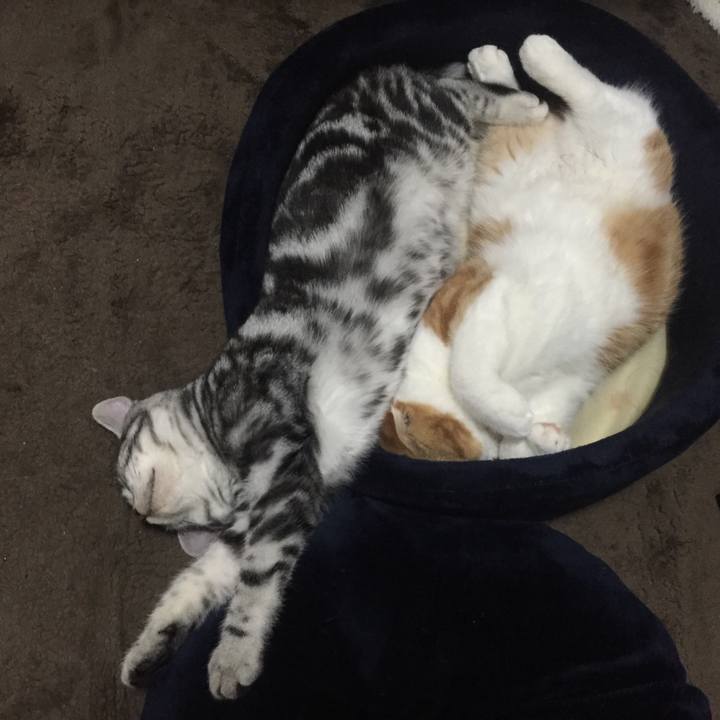 610ade08 af3e 4a30 953f 69178d9d19f1