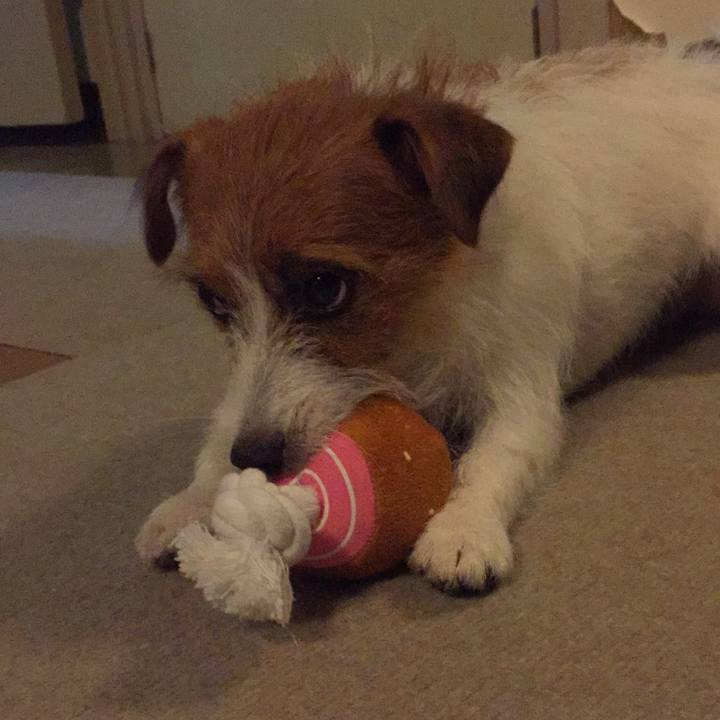 610af320 b61f 4aea 8311 8ca12a2476ac