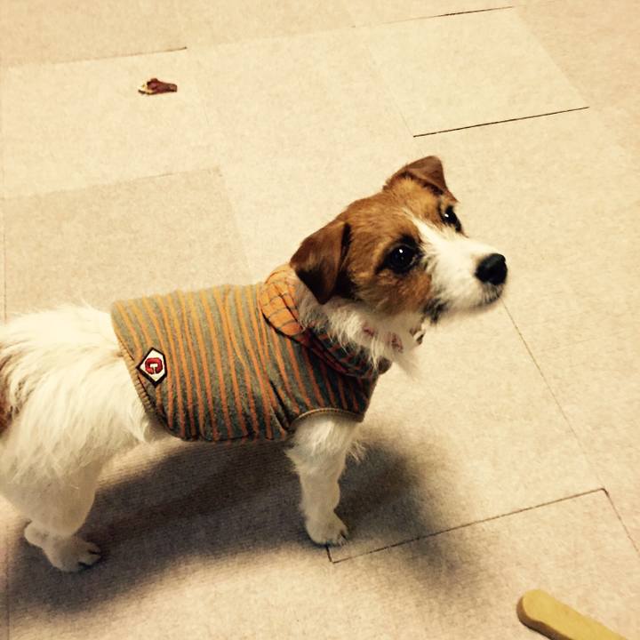 610b0324 63ca 4884 86bc b2a70de925b2