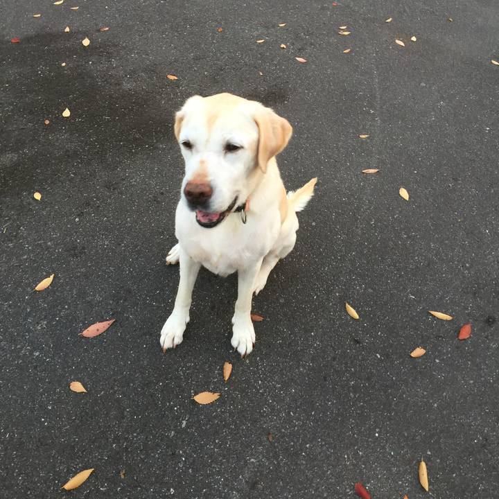 610bfe8f cafc 45c3 b76c 594d1777bd42