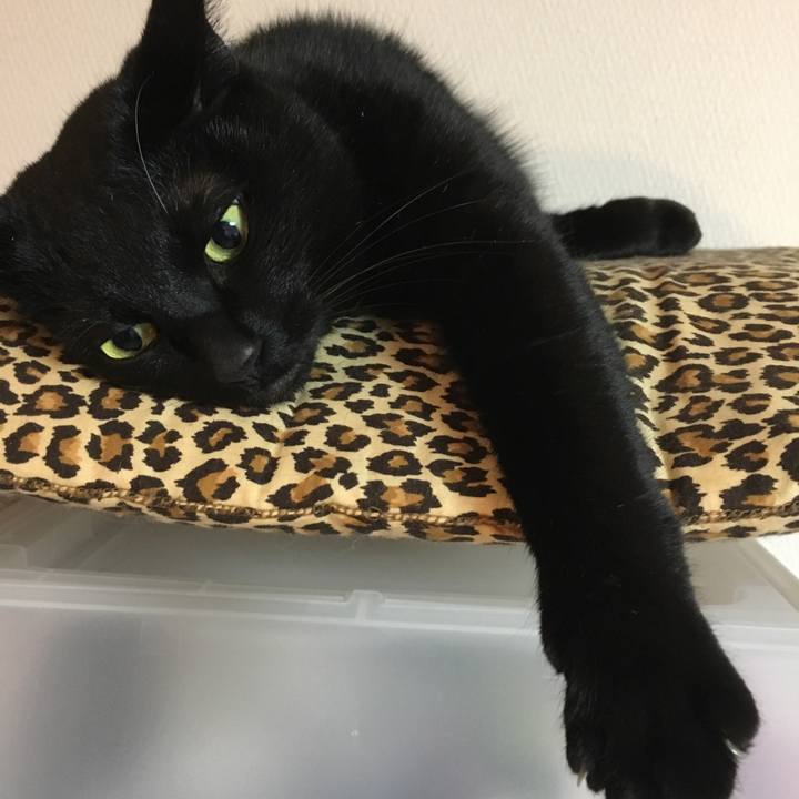 610caea4 2dce 444f bfa7 8a1ef2895b2a