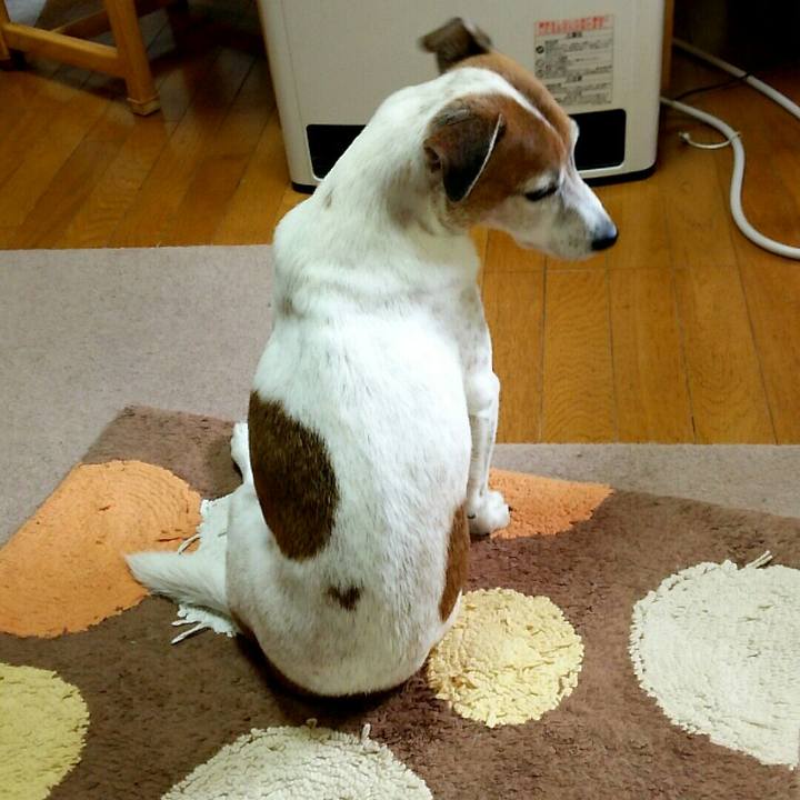 610ef068 d0d4 489e b872 d984a93a400b