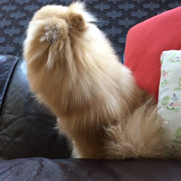 610f9a58 453a 49e1 95da bb5bbe5a8153