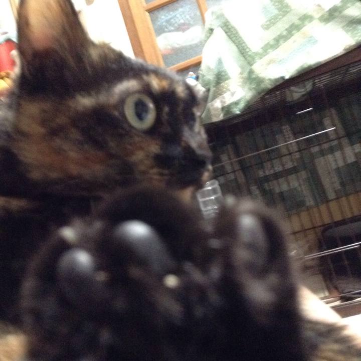 61100b72 0fe5 4e42 a3c3 ca38fe1734fe