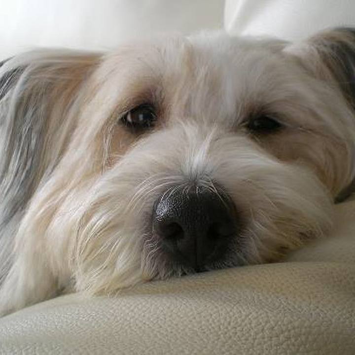 61102532 1bcb 42c1 a56f 1fa2dba94aa9