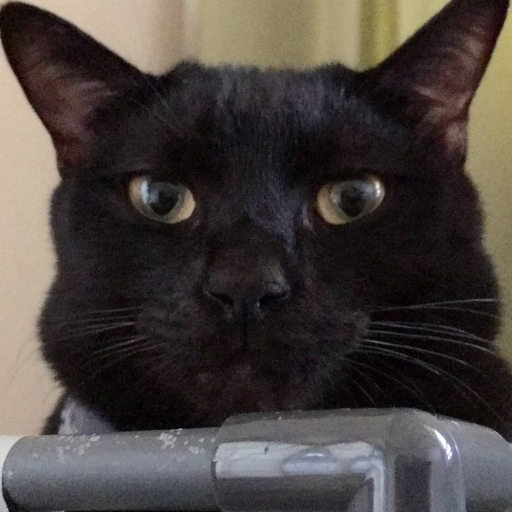 61102d31 8823 4dd8 95ef de9e81f29b14