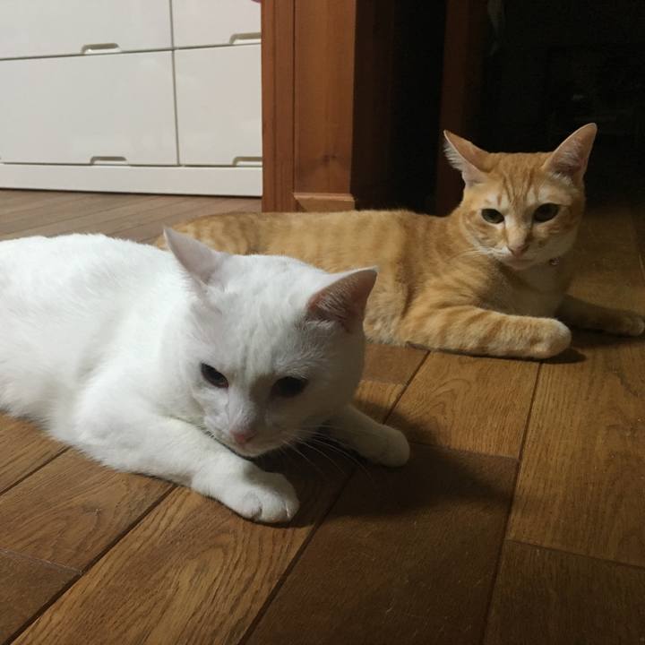 611035f4 9a89 4433 b858 e96ac93db51e