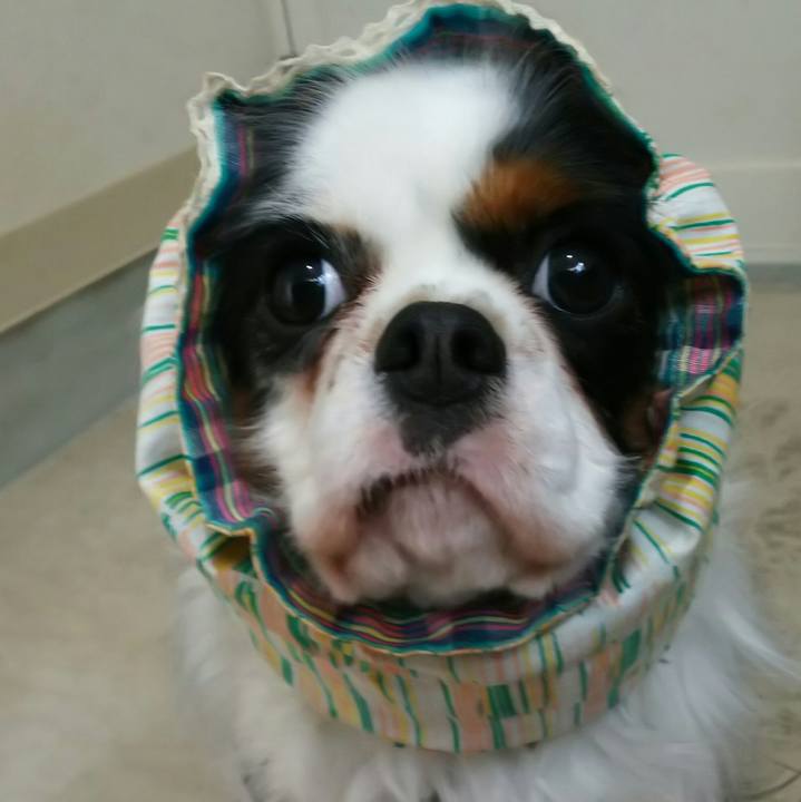 611038cc 9477 48aa 8e96 4723213d46e8