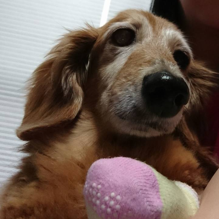 6110c2dc 8af0 41b8 8b10 e0b529e3aa34