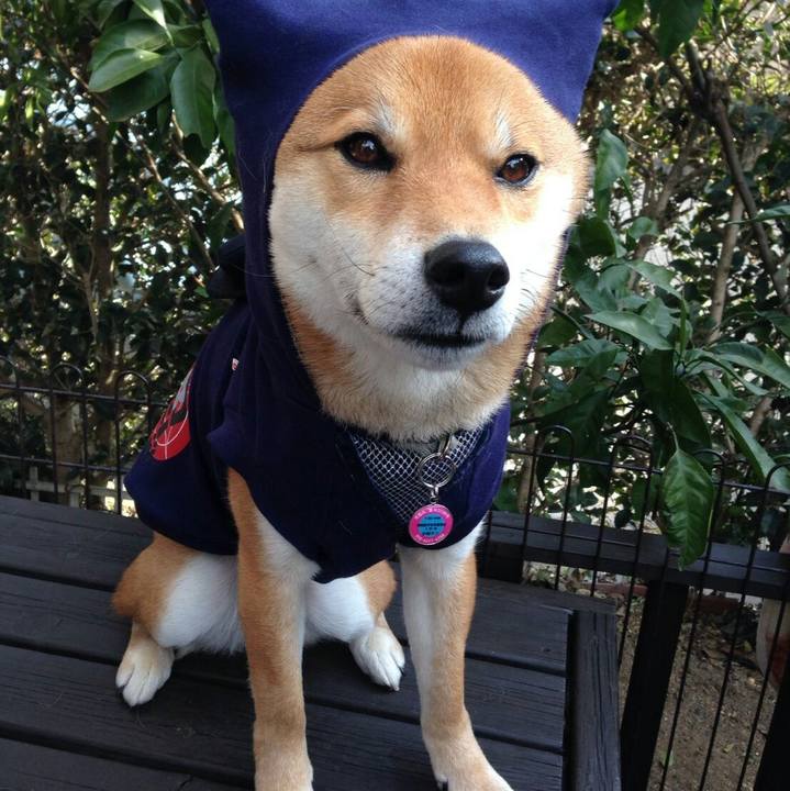 6110f39c e00d 43a9 9689 937a4d686d6d