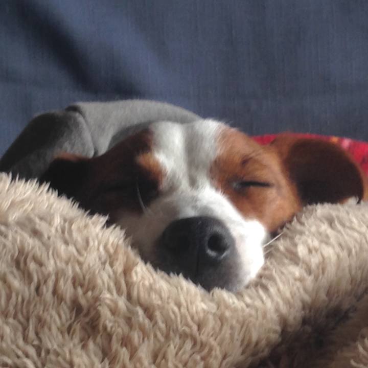 61118805 a200 45ad 81f0 823a58a94bbe