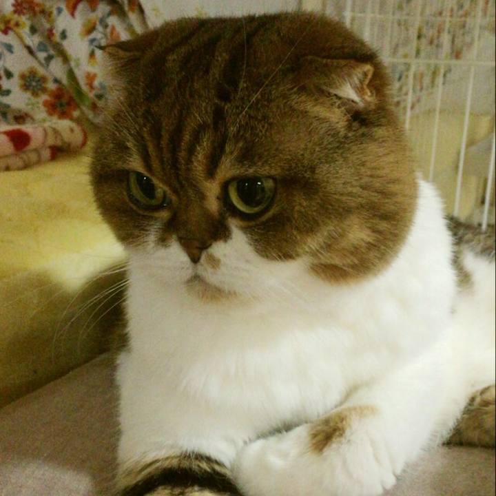 61119c12 eb2b 4f2c a399 4cf249574a5c