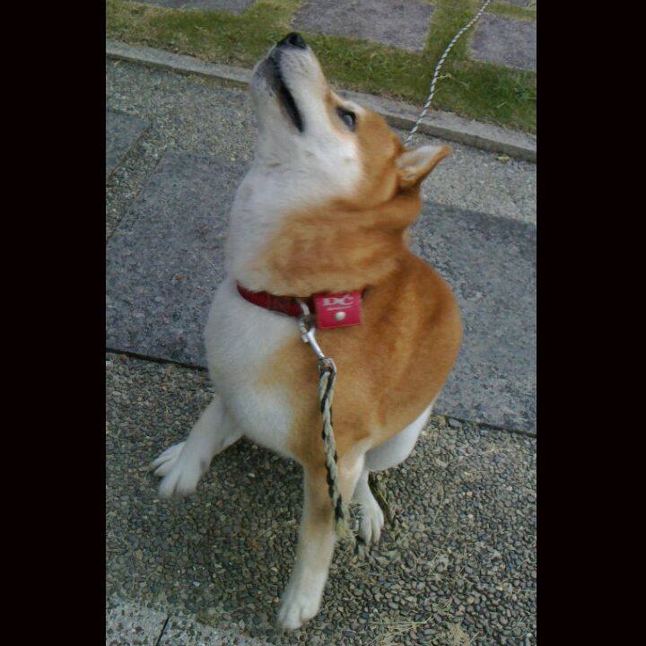 61122556 4a75 4ec1 a19f a8cfcf51b2bd