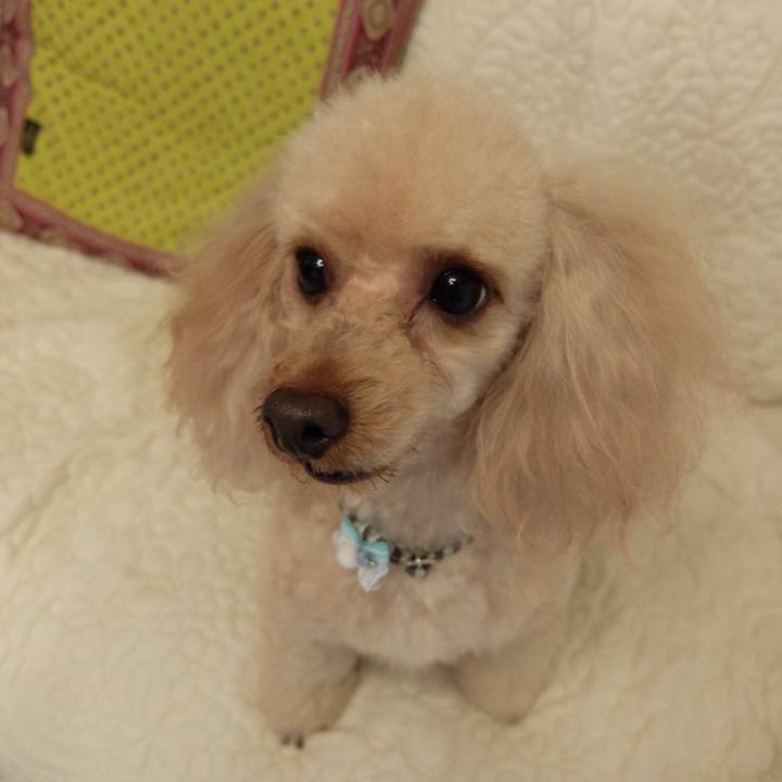 6112756e 33b2 46bc b5ea e828af3d0201