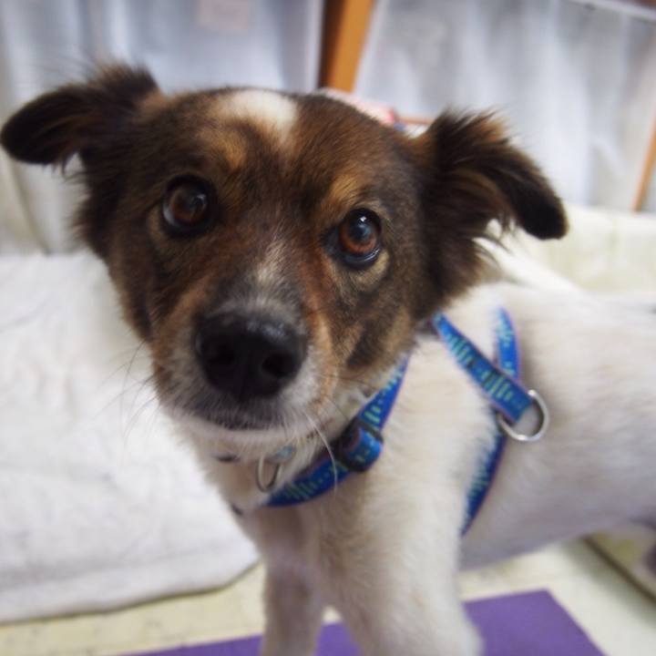 611275aa 6ff4 4e9a aaa9 270a43ce9436