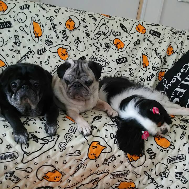 6112a1ac 1433 4742 999f 35ab6c0f4f1a