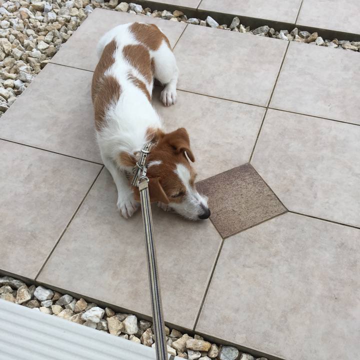 6112d5e4 e630 41d2 abe6 842e2f8d2cb1