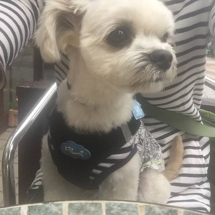 61134ee0 3902 46fd 88ce d7b1ea9f2f72