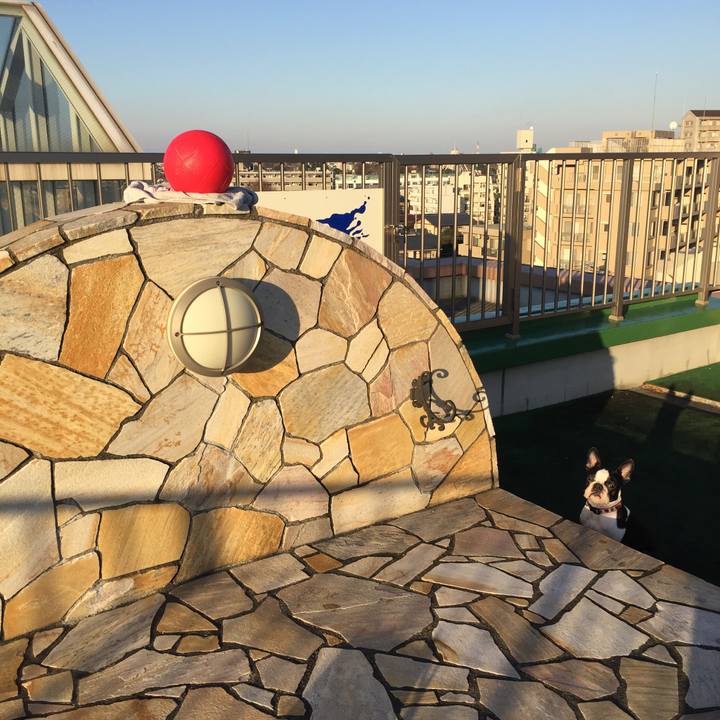 611350c8 14fb 4e59 b10d d7f08c0db033