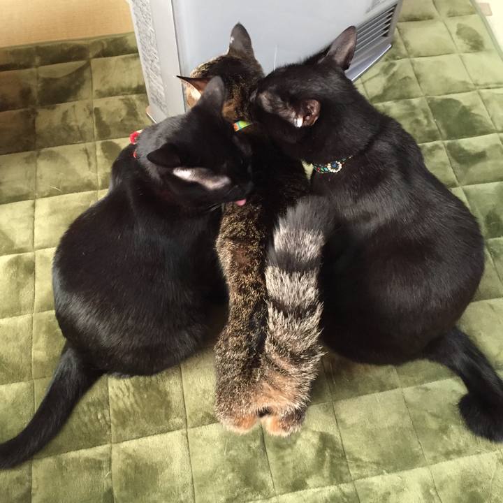 611378e1 ec39 4b6e 8a09 92c21de2e2fc