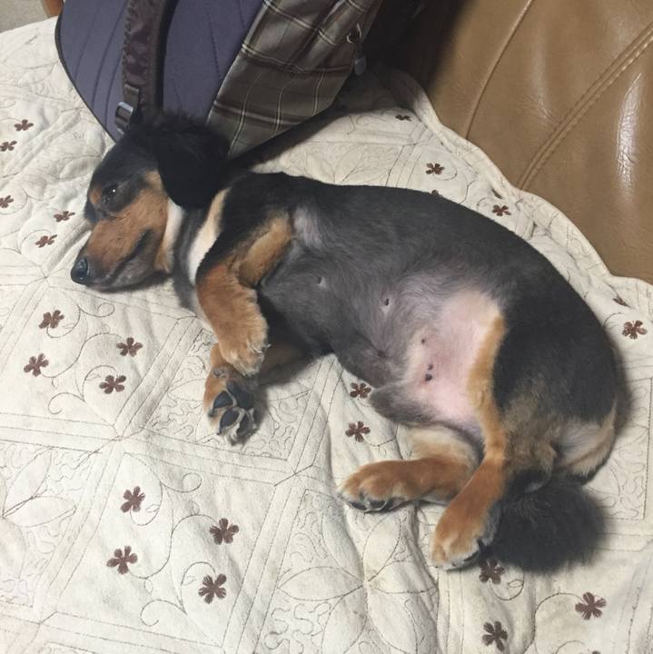 6113874c 1cba 49c4 b287 bab1b8c888a6