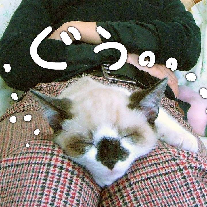 61142b55 89ab 4d3d 8eb0 d724047ed8b6