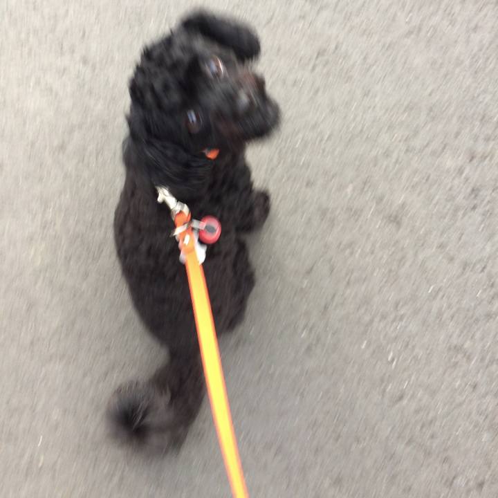 61151a6d 9ad1 46eb bd8e ff9e795a1a39