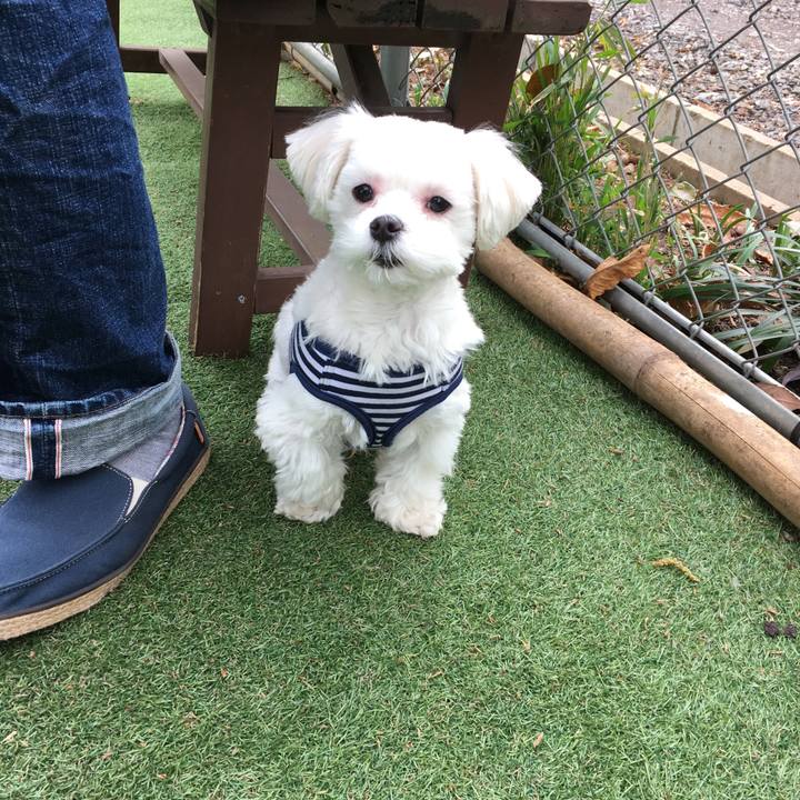 61154c89 85e4 4d37 9280 a3afdcb62998