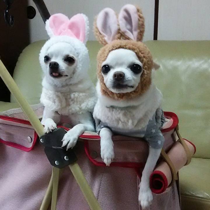 6115c51e 3d31 45f0 9287 08f6b310acd1