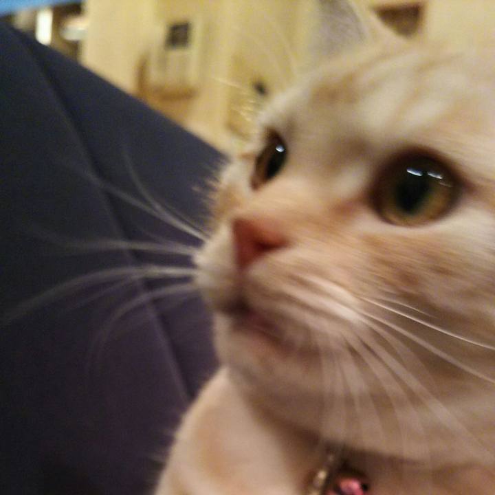 61160306 898f 42d4 9da5 00c613b98e7e