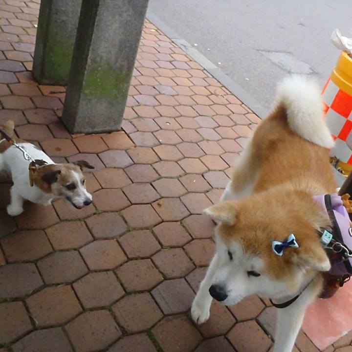 6116571a 7907 4b6f 9638 fadb998194e6