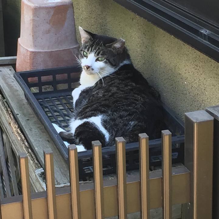 6116d1ab 88ae 4e5a ac9d f617b9417a5d