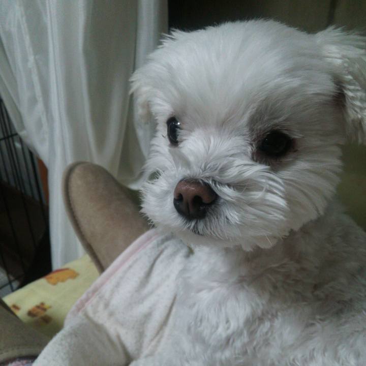 6116d682 eba1 436a b72a 93f155806c14