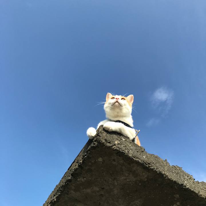 6116e942 dac1 4775 b9f8 d1ef4ef4802f