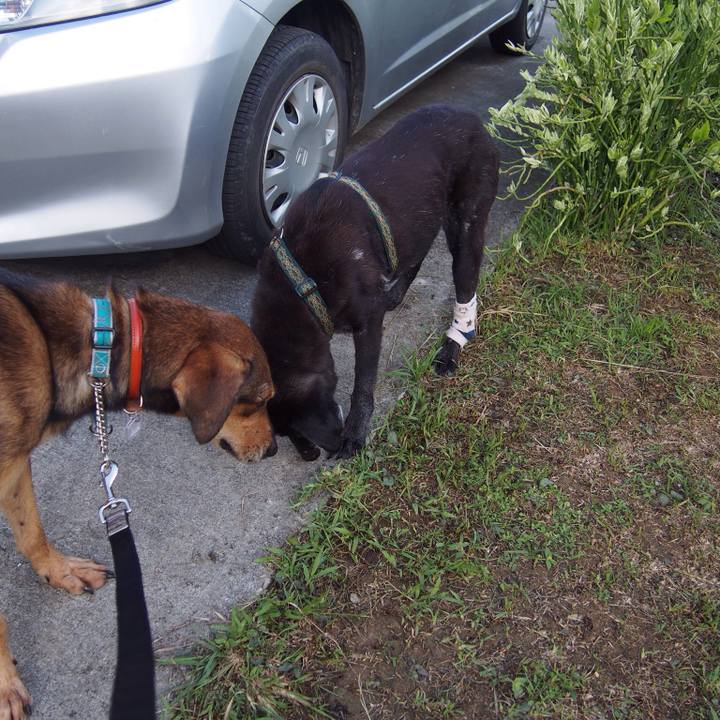 6116f9c1 03c8 4bc9 b54f 0f6431d832c2