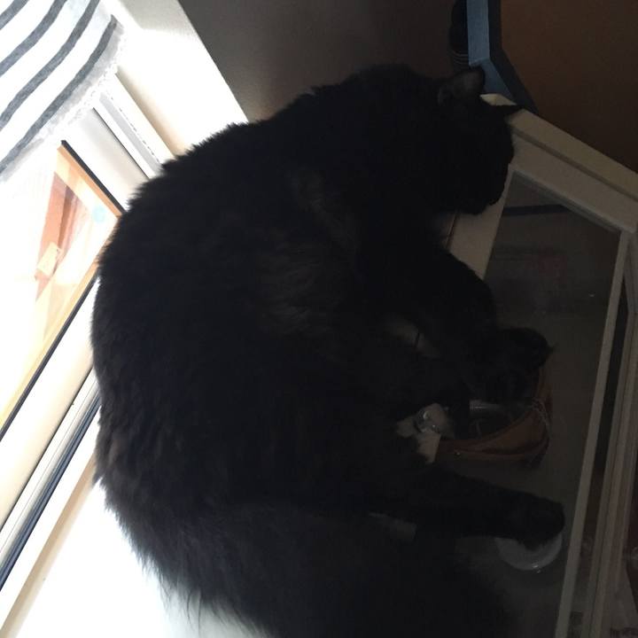 61171967 1d8d 4de5 a242 805d462709d6