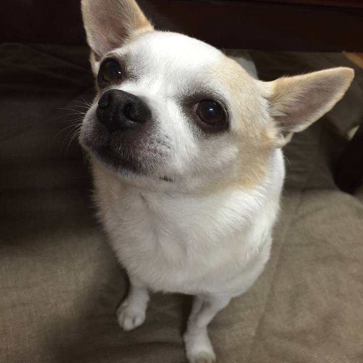 61174b36 8d80 4f9b b711 da7edc295e3a