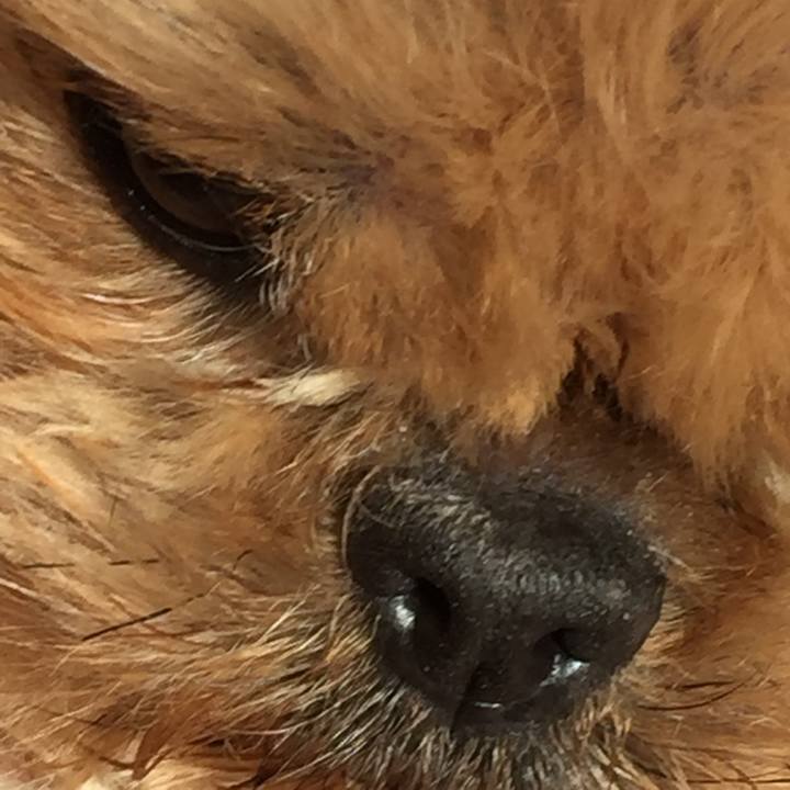 61176bb4 ab1e 43e4 8af8 190d7c61103e