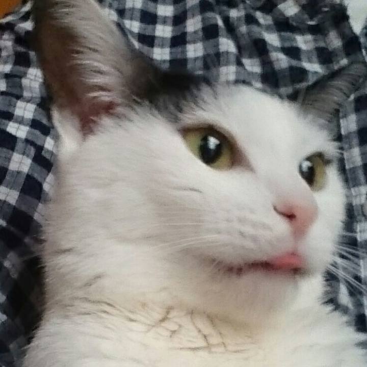 61176cbc 8b2d 4b17 beae 4cbb72bbbc8e