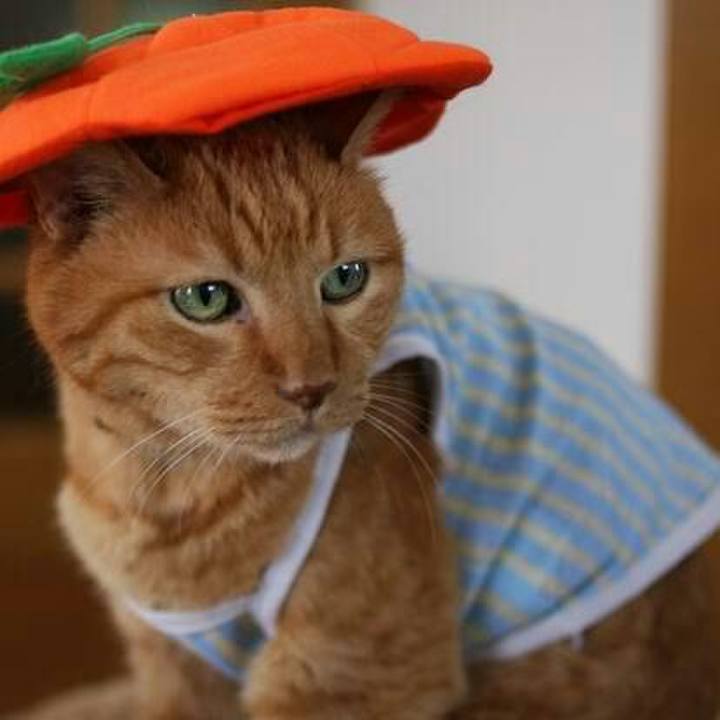 61180545 3eea 460f a213 8ac31ed79f1e