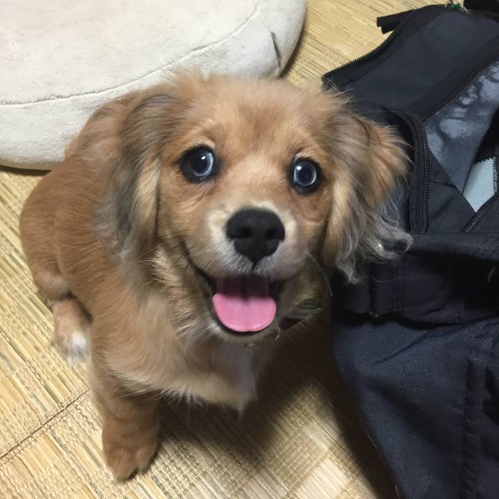 61188338 b8d4 457c b565 6cae04d8193a