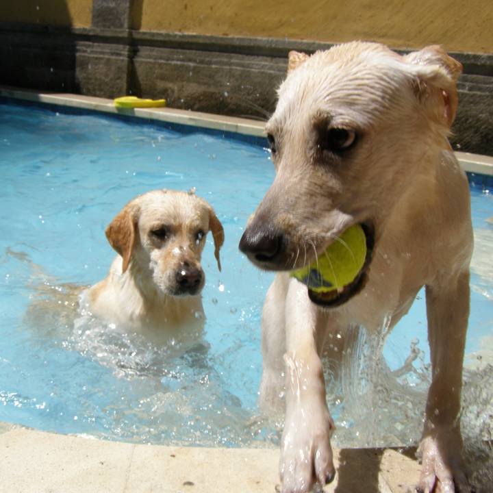 6118c161 df2c 4313 8a55 b8c0148c9a40